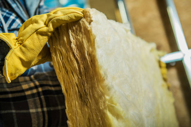 Best Insulation Maintenance and Repair in Oakland Park, FL